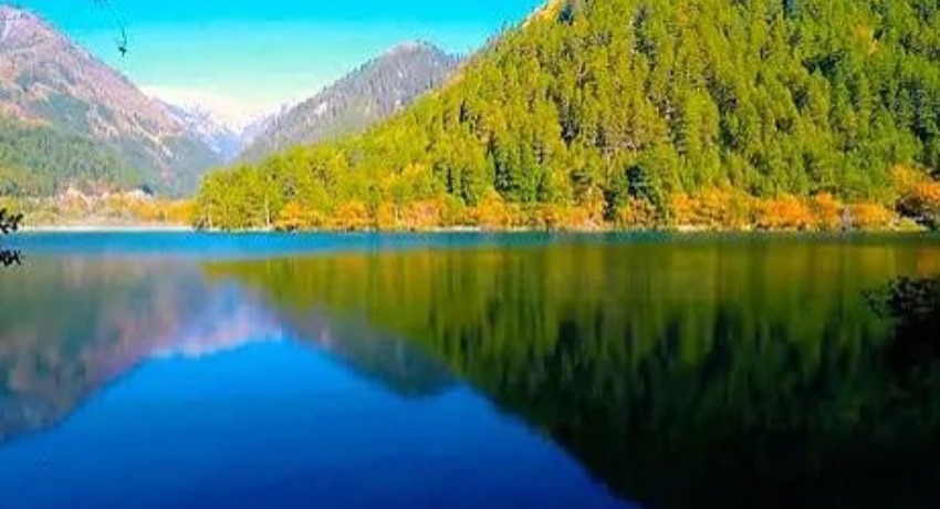 创意投稿箱 - 色花堂永久地址 - 你的创意作品发光的专属通道展示图1